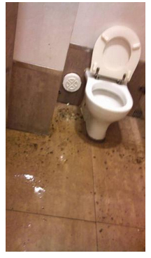 廁所坐廁